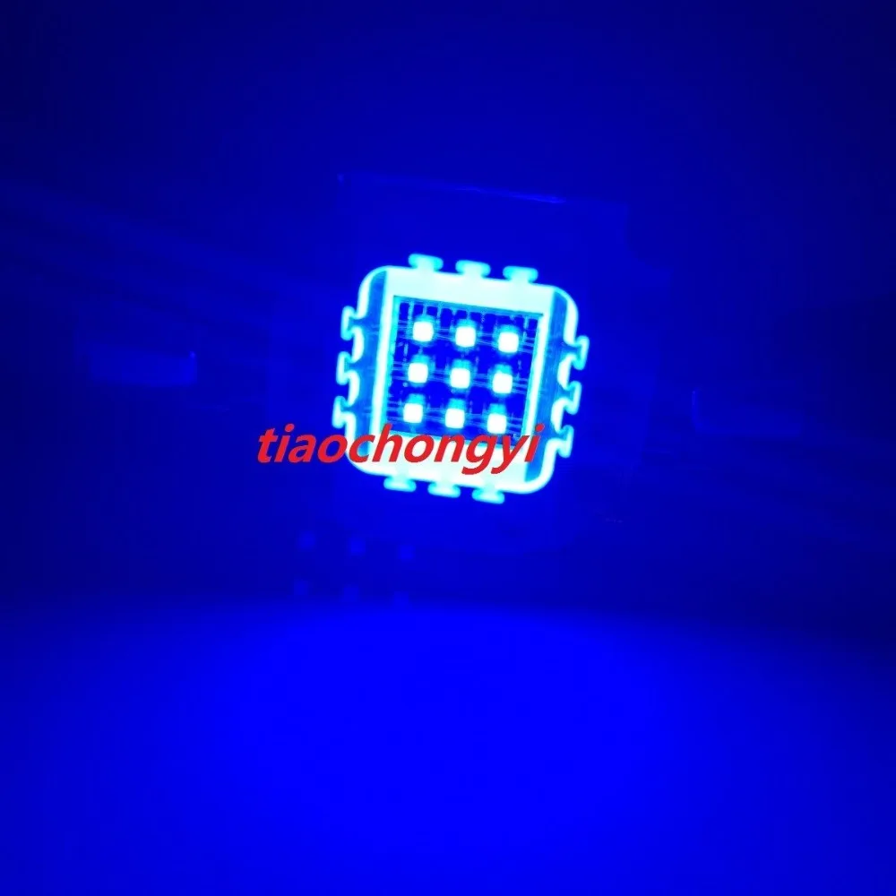 1pcs-20pcs 10W Royal Blue 445NM 900mA High Power LED Lamp Light for Aquarium Plant
1pcs-20pcs 10W Royal Blue 445NM 900mA High Power LED Lamp Light for Aquarium Plant
