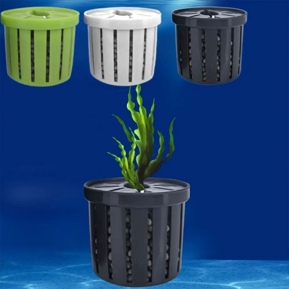 4 шт., подставка для растений, аквариум, гидропонная корзина для посадки, посаженный аквариум, стеклянный горшок, чашки для аквариума, ландшафтный дизайн, бассейн
4 шт., подставка для растений, аквариум, гидропонная корзина для посадки, посаженный аквариум, стеклянный горшок, чашки для аквариума, ландшафтный дизайн, бассейн
