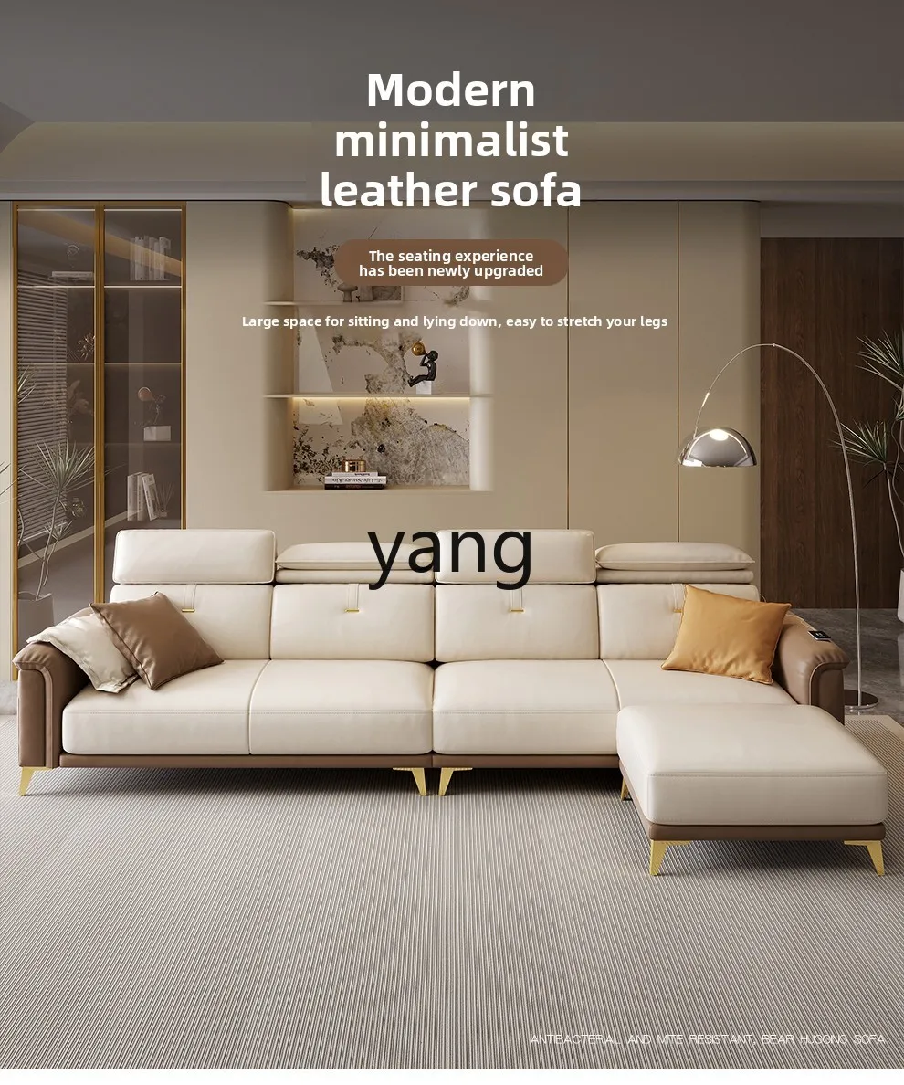 LMM leather sofa living room modern light luxury first-layer cowhide small apartment sofa
LMM leather sofa living room modern light luxury first-layer cowhide small apartment sofa