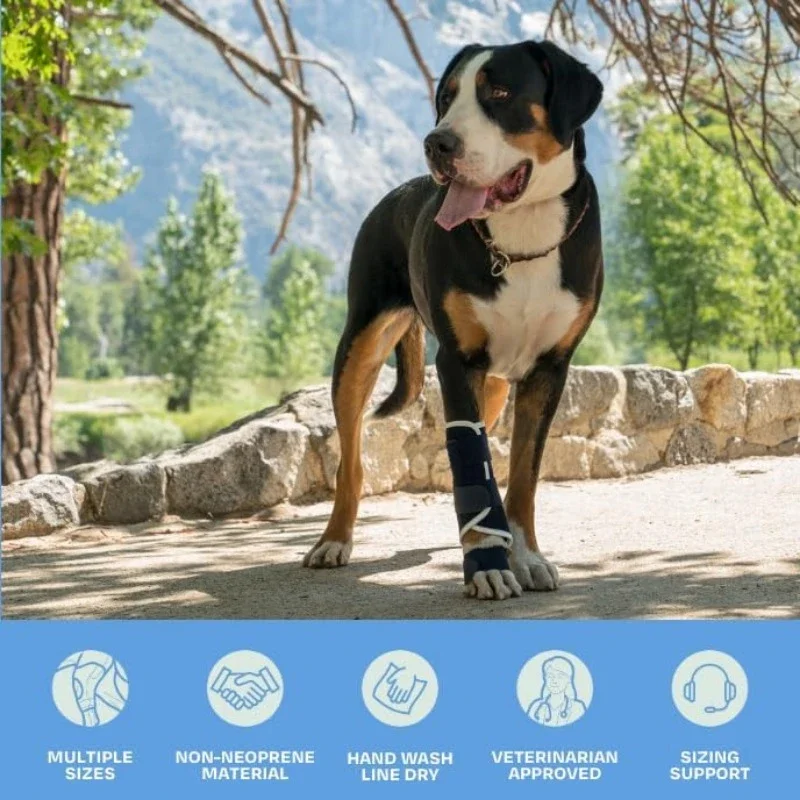 Splint Carpal Hyperextension Dog Brace ,Supports Fractures Sprains, Front Leg Support (Small Breeds) Ankle Splint Brace
Splint Carpal Hyperextension Dog Brace ,Supports Fractures Sprains, Front Leg Support (Small Breeds) Ankle Splint Brace