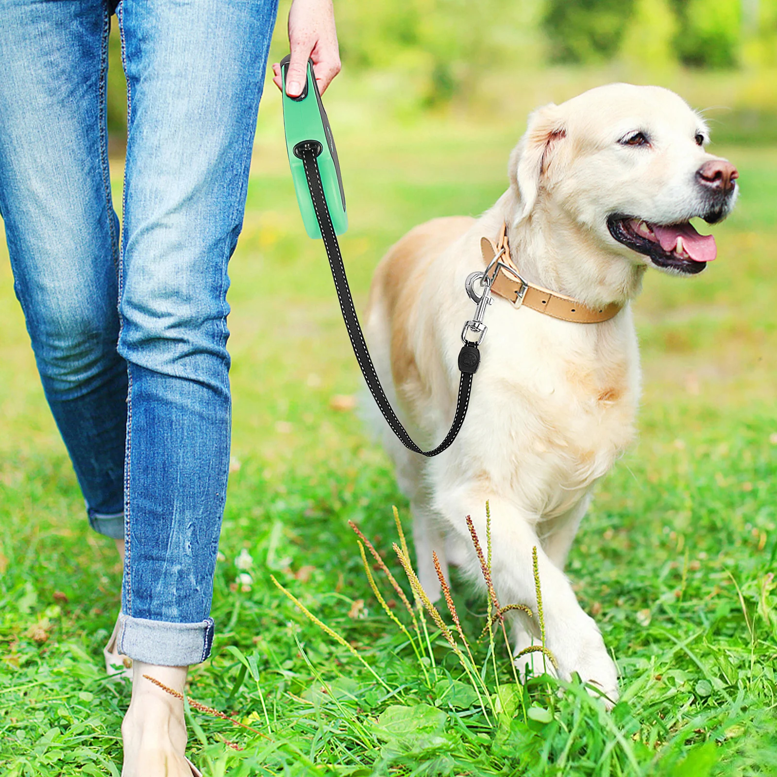 3Pcs Pet Electroplated Dog Leash Clasp Hooks Heavy Duty Zinc Alloy Swivel Snap Hooks Reliable Safety Clips for Outdoor Travel
3Pcs Pet Electroplated Dog Leash Clasp Hooks Heavy Duty Zinc Alloy Swivel Snap Hooks Reliable Safety Clips for Outdoor Travel