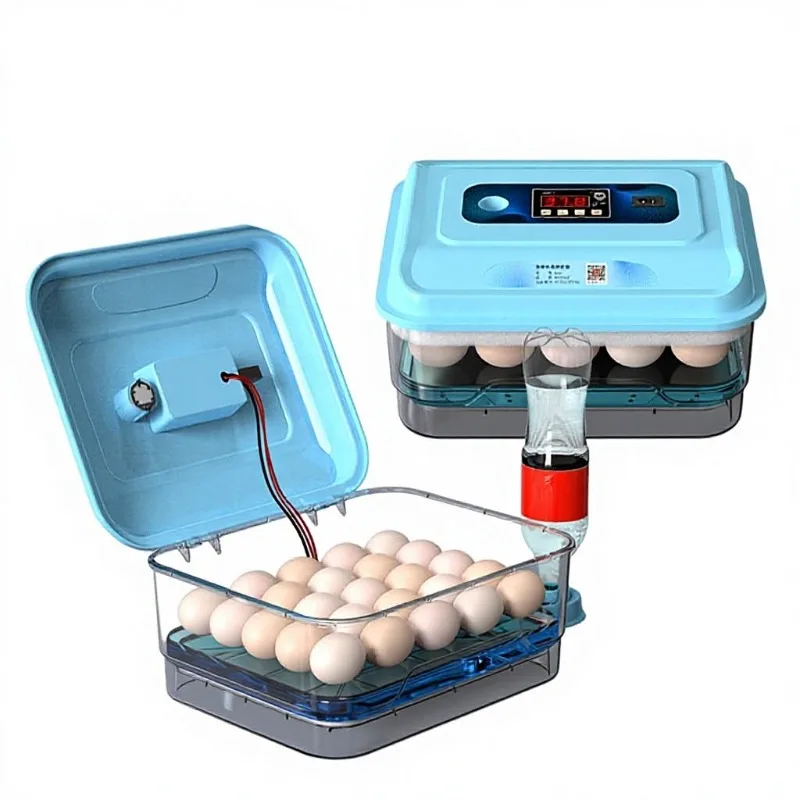 Automatic Egg Incubation Bionic Plastic Water Bed Incubator Home 60 Mini Transparent Automatic Egg Incubation Egg Incubator
Automatic Egg Incubation Bionic Plastic Water Bed Incubator Home 60 Mini Transparent Automatic Egg Incubation Egg Incubator