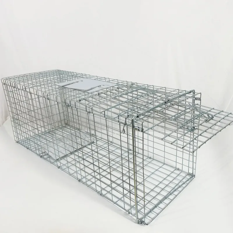 Collapsible Animal Trap Cage for Rat & Possum &raccoon & Wild Cat Stray Animal Rescue Cage Cat Cage
Collapsible Animal Trap Cage for Rat & Possum &raccoon & Wild Cat Stray Animal Rescue Cage Cat Cage