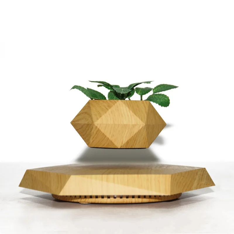 Maglev potted plants aerial flowers ornament rhombus maglev green plants bonsai
Maglev potted plants aerial flowers ornament rhombus maglev green plants bonsai