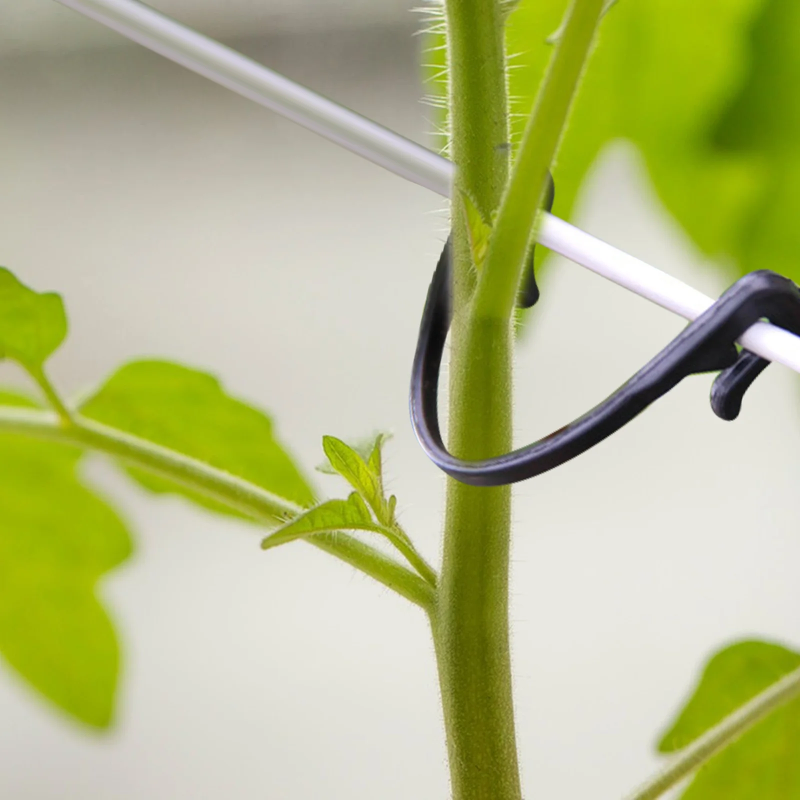 100pcs Plant Support Stakes Pruning Garden Clip Climbing Plants Grape Stems Clips Durable Plastic Fruit Tree Branch Hooks
100pcs Plant Support Stakes Pruning Garden Clip Climbing Plants Grape Stems Clips Durable Plastic Fruit Tree Branch Hooks