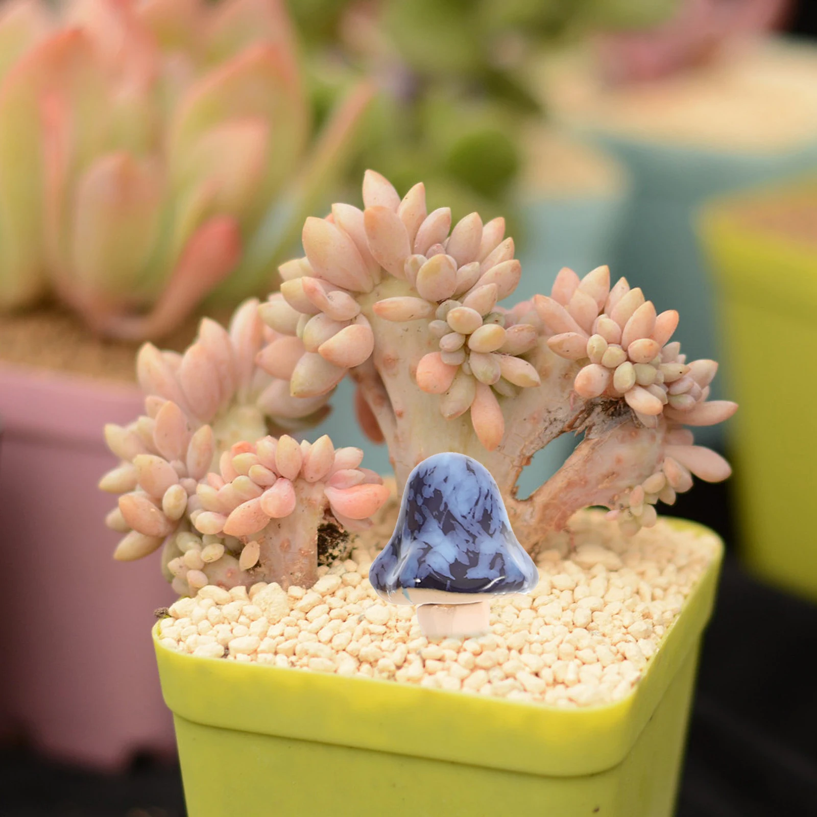 6Pcs Ceramic Mushroom Ornament Set for Micro Landscape Garden Decor Small House Plants Decoration Miniature Home Accessories
6Pcs Ceramic Mushroom Ornament Set for Micro Landscape Garden Decor Small House Plants Decoration Miniature Home Accessories