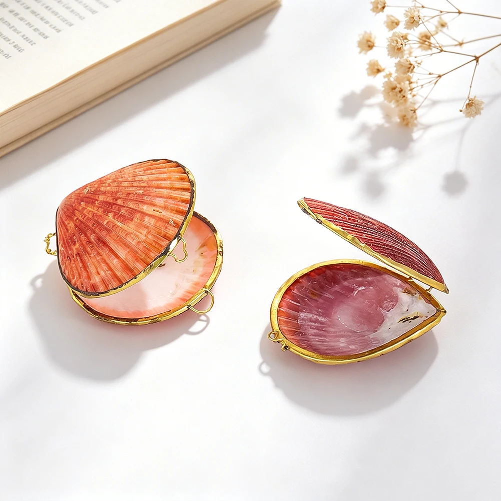 Boho Natural Scallop Shell Jewelry Box Gold Trimmed Openable Shell Trinket Box Mini Seashell Storage Box for Rings Earrings