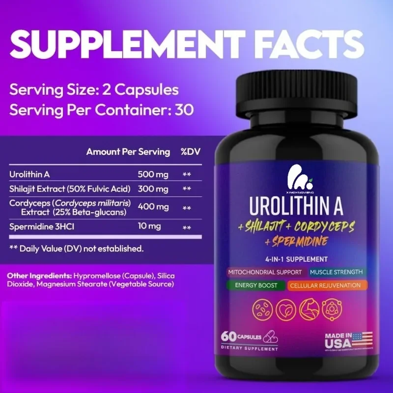 Urine Stone A Supplemen capsulet Contains Shilajit, Cordyceps sinensis - Supports cellular energy, anti-aging, and immune health
Urine Stone A Supplemen capsulet Contains Shilajit, Cordyceps sinensis - Supports cellular energy, anti-aging, and immune health