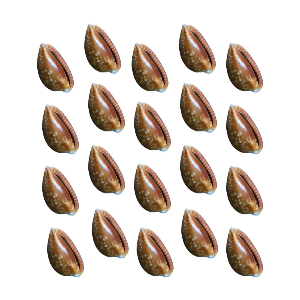 20 Pcs Safflower Conch Accessories Lightweight Safe Durable Decor Supplies DIY Pendant Earrings Necklace Keychain Art Craft Home
20 Pcs Safflower Conch Accessories Lightweight Safe Durable Decor Supplies DIY Pendant Earrings Necklace Keychain Art Craft Home