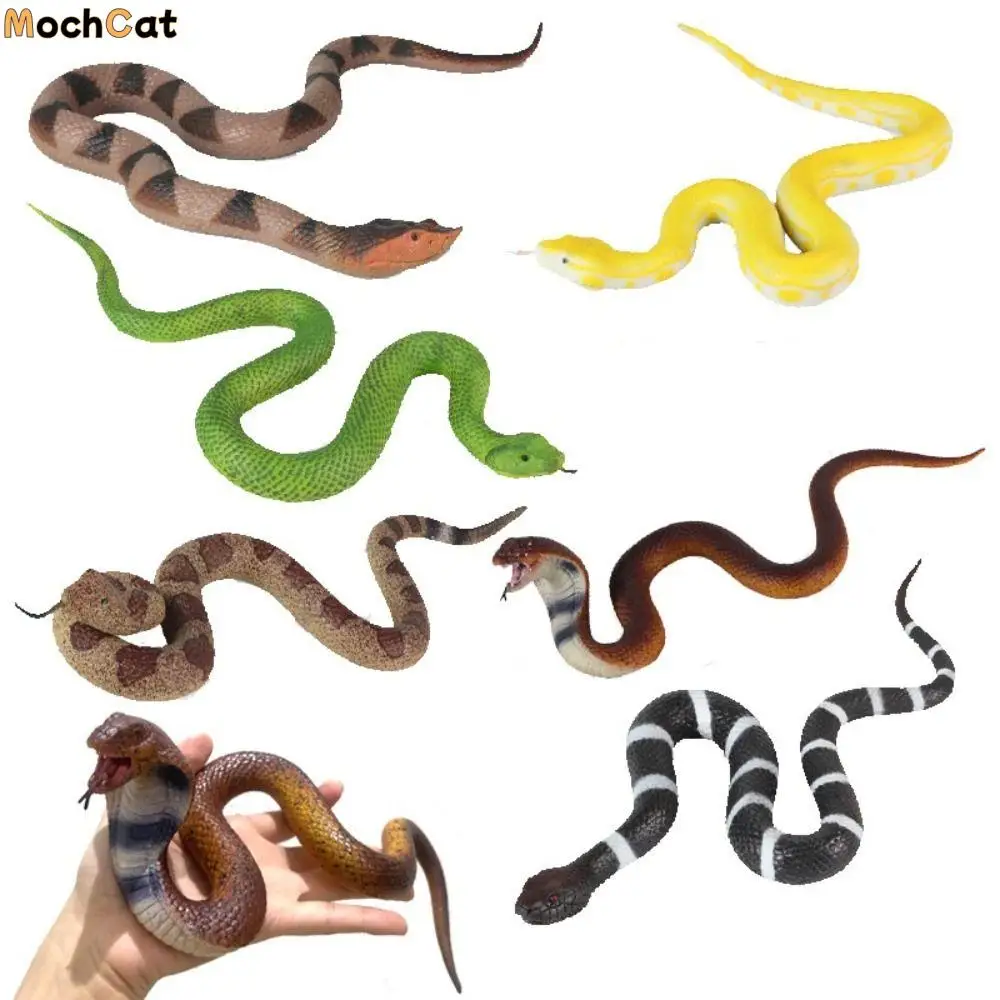 Reptile Animal Snake Action Figures Python Cobra Soft TPR Rattlesnake Model Educational Lifelike Simulation Snake Kids Toy
Reptile Animal Snake Action Figures Python Cobra Soft TPR Rattlesnake Model Educational Lifelike Simulation Snake Kids Toy