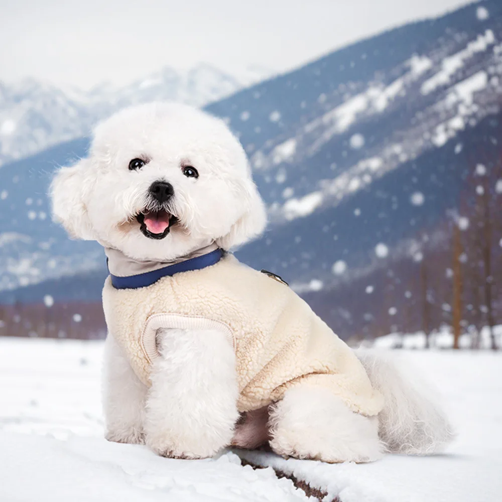 Small Dog Winter Vest Fleece Lined - Warm Plush Thickened Coat for Schnauzer Teddy Puppy Cold Weather Clothing
Small Dog Winter Vest Fleece Lined - Warm Plush Thickened Coat for Schnauzer Teddy Puppy Cold Weather Clothing