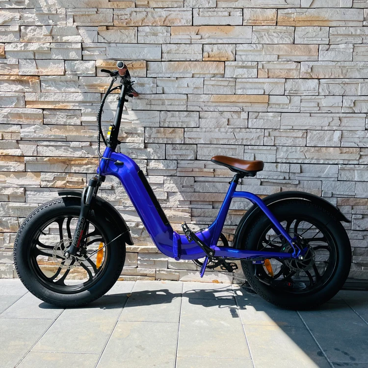 STLF Family Bike Fat Tire Electric Bicycle OEM Customized 20 Inch City Road Cargo E Bike LCD Display Ebike
STLF Family Bike Fat Tire Electric Bicycle OEM Customized 20 Inch City Road Cargo E Bike LCD Display Ebike