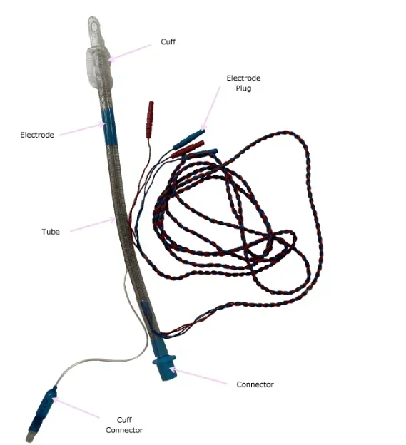 Factory supply neuromonitoring arc-shaped EMG laryngeal electrode with cuff for thyroid surgery
Factory supply neuromonitoring arc-shaped EMG laryngeal electrode with cuff for thyroid surgery
