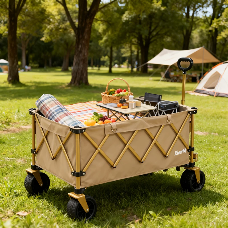 Складная тележка для улицы — сверхмощная складная универсальная тележка для кемпинга, пикника, покупок
Складная тележка для улицы — сверхмощная складная универсальная тележка для кемпинга, пикника, покупок