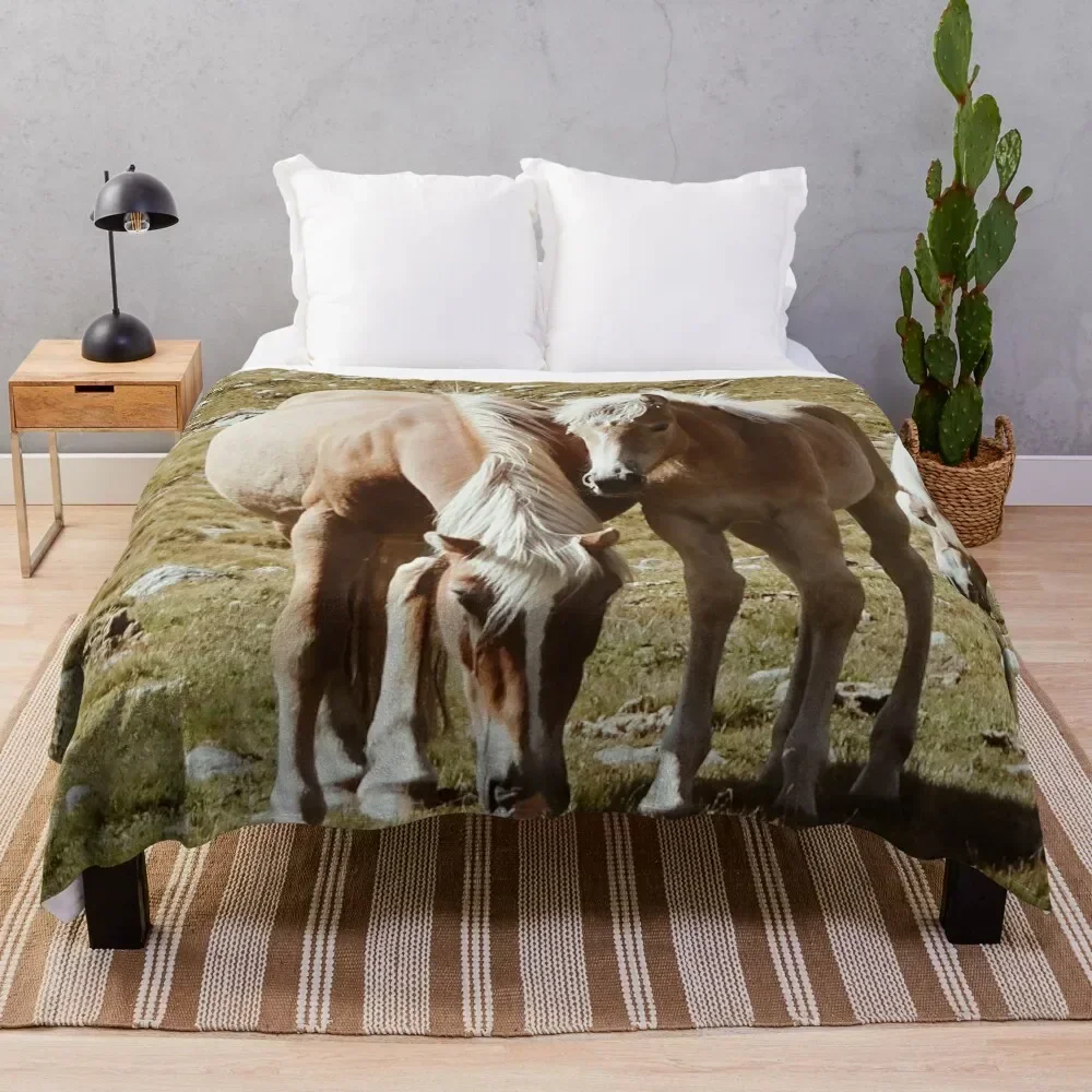 Light brown mare and foal Throw Blanket Plush Fuzzy Cozy Blanket for Couch Sofa
Light brown mare and foal Throw Blanket Plush Fuzzy Cozy Blanket for Couch Sofa