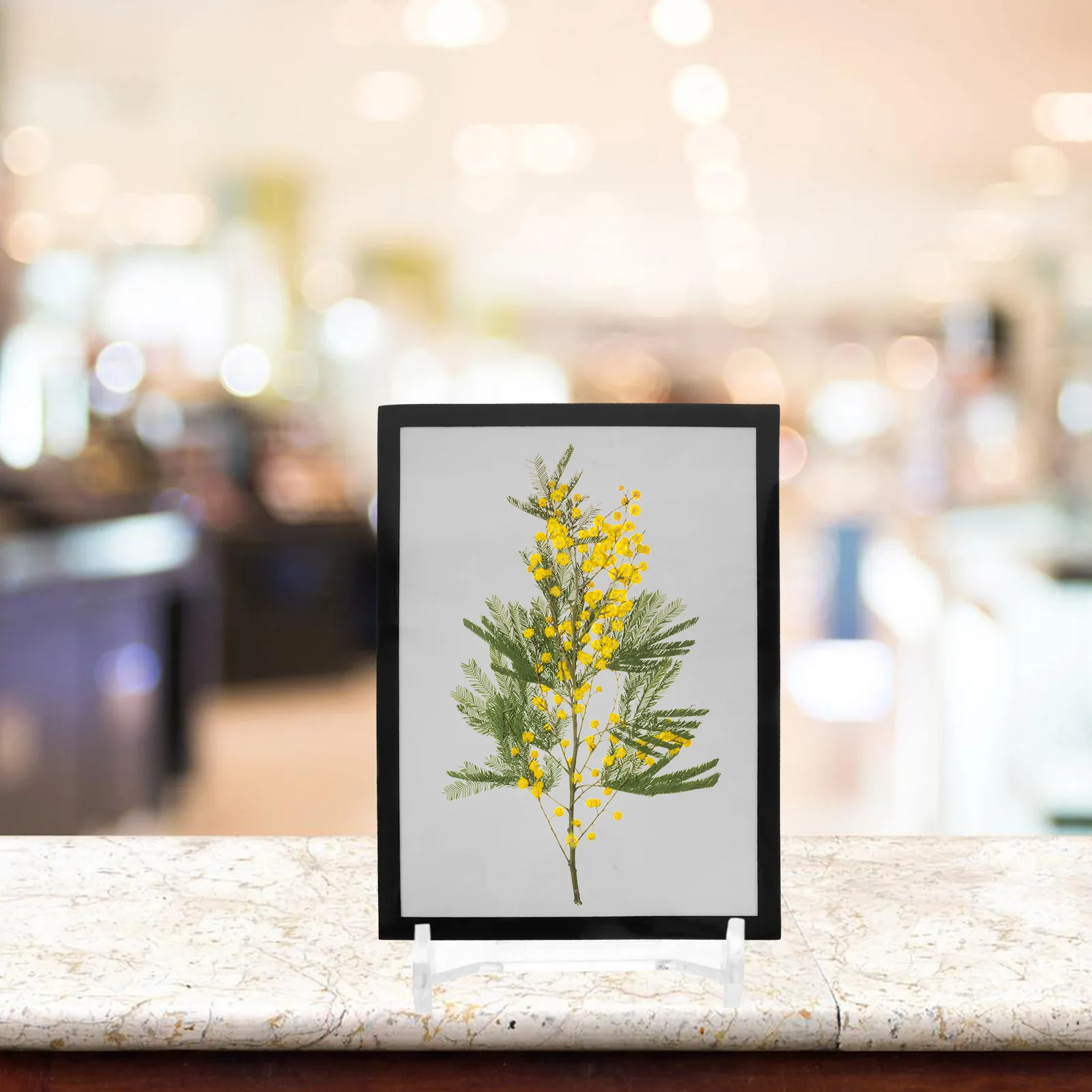 5pcs Acrylic Display Stand Small Racks Card Riser Brackets Easel Plate Holders Stands Picture Display Stand for Cards Photos 
5pcs Acrylic Display Stand Small Racks Card Riser Brackets Easel Plate Holders Stands Picture Display Stand for Cards Photos
