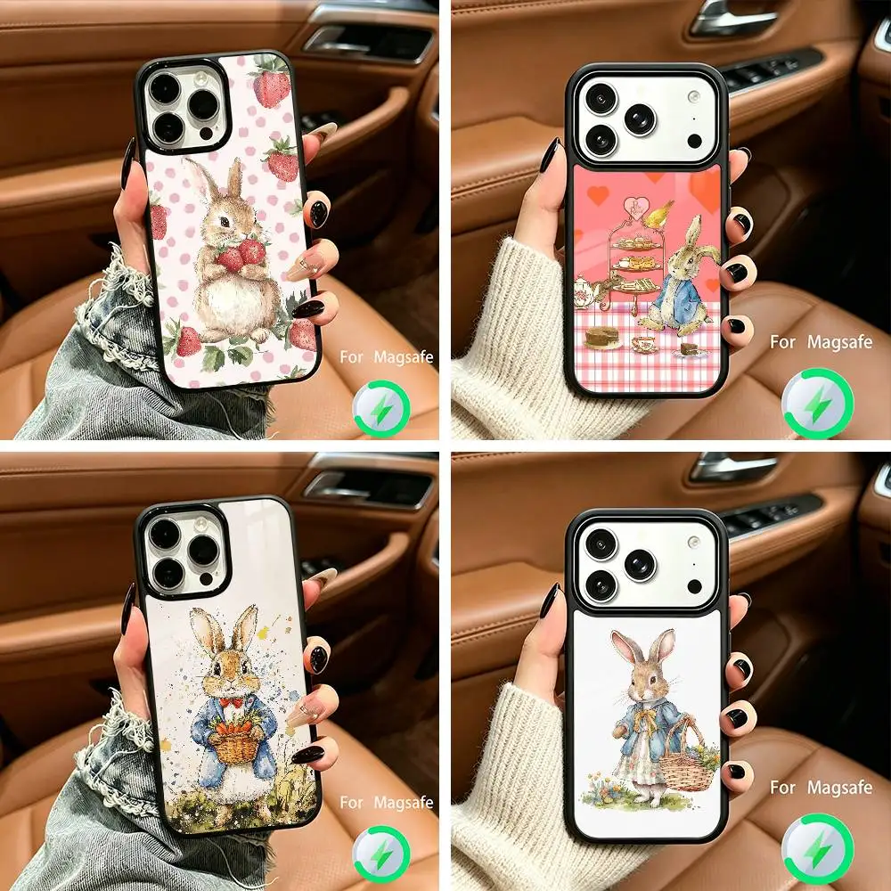 Cute R-Rabbit P-Peter For IPhone17 16 15 14 13 12 11 Plus Pro Max Plus Wireless Charger Phone Case
Cute R-Rabbit P-Peter For IPhone17 16 15 14 13 12 11 Plus Pro Max Plus Wireless Charger Phone Case