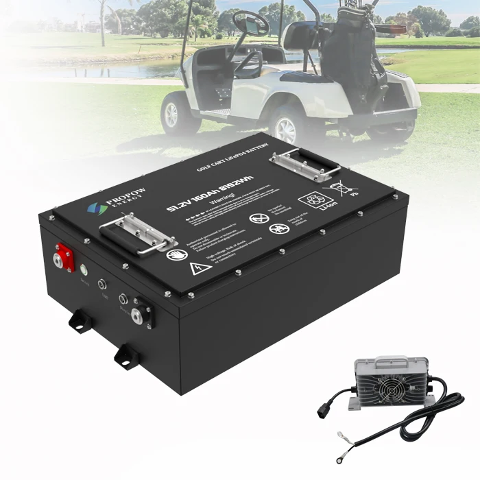 High Performance High Output Current 300A Continuous 600A Peak Lithium LiFePO4 Golf Cart Battery 51.2V 160Ah
High Performance High Output Current 300A Continuous 600A Peak Lithium LiFePO4 Golf Cart Battery 51.2V 160Ah