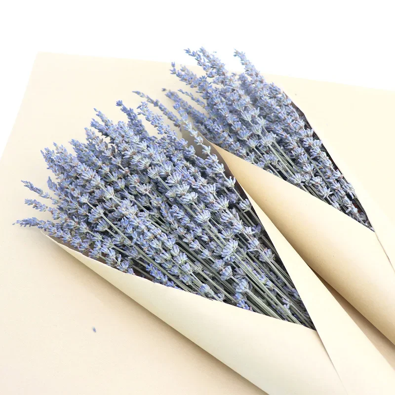 All - Natural Dried Lavender Flowers Bunch - A Perfect Decorative Bouquet for Home, Gifts, Crafts and Wedding Parties
All - Natural Dried Lavender Flowers Bunch - A Perfect Decorative Bouquet for Home, Gifts, Crafts and Wedding Parties