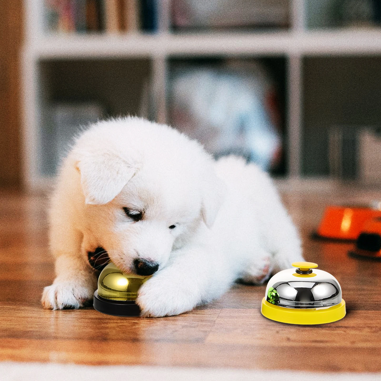 3 Pcs Training Bells Puppy Potty Flat Wide Button Loud Sound Communication Indoor Ringer Accessories Pets 
3 Pcs Training Bells Puppy Potty Flat Wide Button Loud Sound Communication Indoor Ringer Accessories Pets