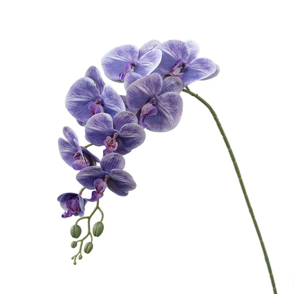 9 Head Artificial Phalaenopsis Branches Realistic Real Touch Fake Flowers Handmade Simulation Plant Living Room Balcony
9 Head Artificial Phalaenopsis Branches Realistic Real Touch Fake Flowers Handmade Simulation Plant Living Room Balcony
