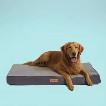Orthopedic Memory Foam Dog Bed for Large Dogs, Waterproof Lining, Non-Slip Bottom, Removable Washable Cover (41x29in)
Orthopedic Memory Foam Dog Bed for Large Dogs, Waterproof Lining, Non-Slip Bottom, Removable Washable Cover (41x29in)