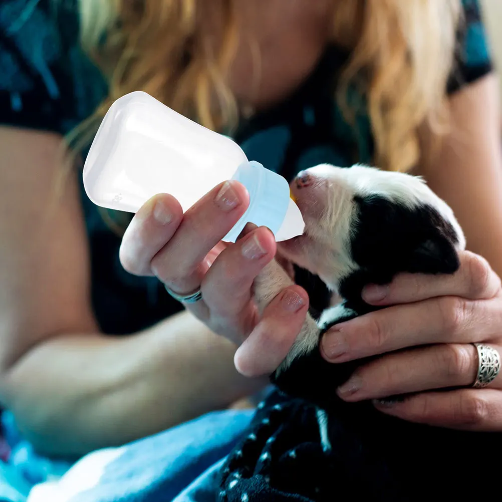 Feeding Set Supplies Nursing Kit for Puppy Kitten Newborn Small Animals Lightweight Eco-friendly Precise Scale Hand-Feeding
Feeding Set Supplies Nursing Kit for Puppy Kitten Newborn Small Animals Lightweight Eco-friendly Precise Scale Hand-Feeding
