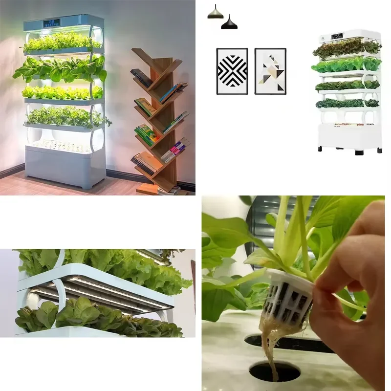 SFW Certificate LED Grow Light Hydroponic Family Kit
SFW Certificate LED Grow Light Hydroponic Family Kit