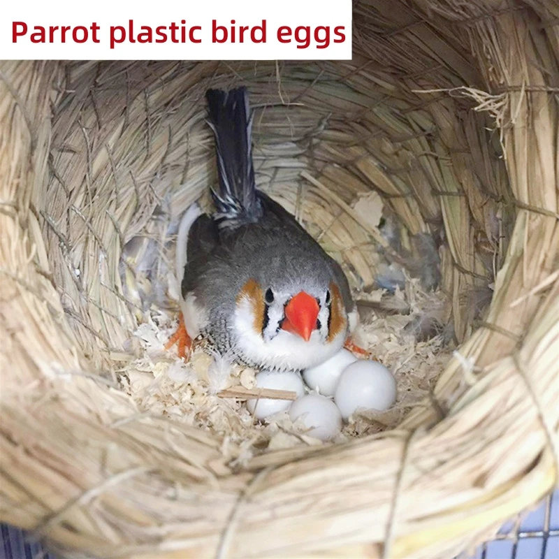 10 parrot simulation solid eggs, plastic eggs, bird eggs, finch eggs, tiger skin eggs, peony eggs, black phoenix eggs, carrier p
10 parrot simulation solid eggs, plastic eggs, bird eggs, finch eggs, tiger skin eggs, peony eggs, black phoenix eggs, carrier p