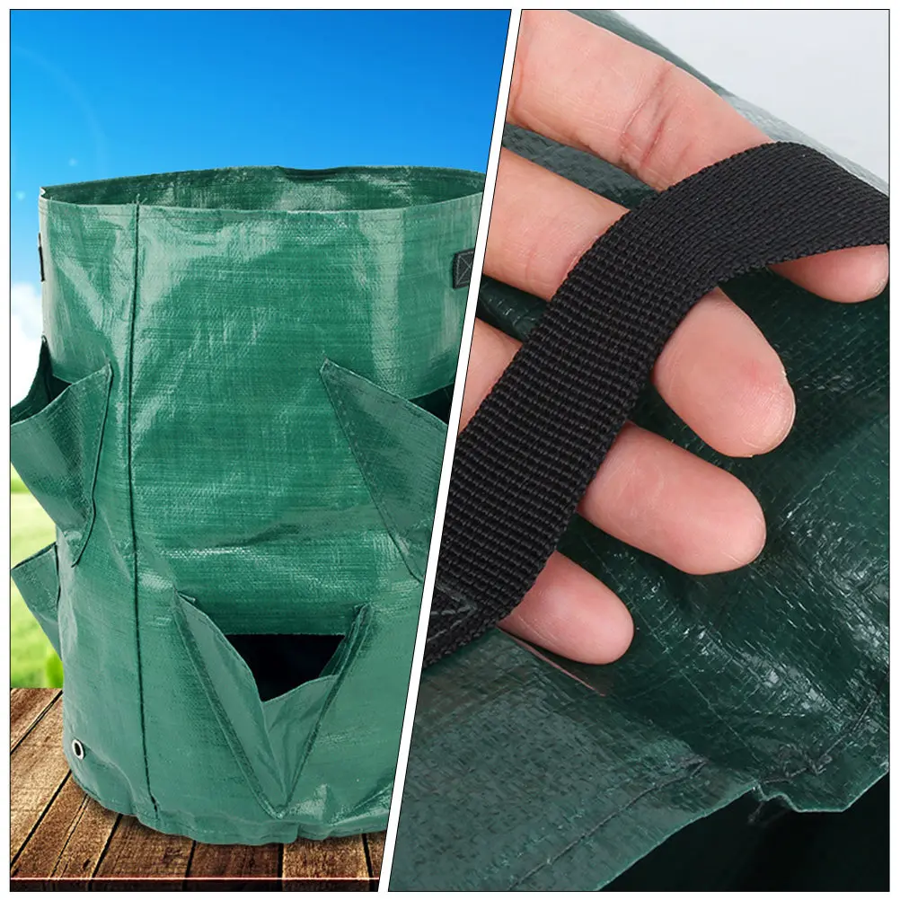 2Pcs Pe Planting Bag Heavy Duty Breathable Hanging Strawberry Planter Indoor Outdoor Use High Temp Cold Resistant Grow Bag
2Pcs Pe Planting Bag Heavy Duty Breathable Hanging Strawberry Planter Indoor Outdoor Use High Temp Cold Resistant Grow Bag
