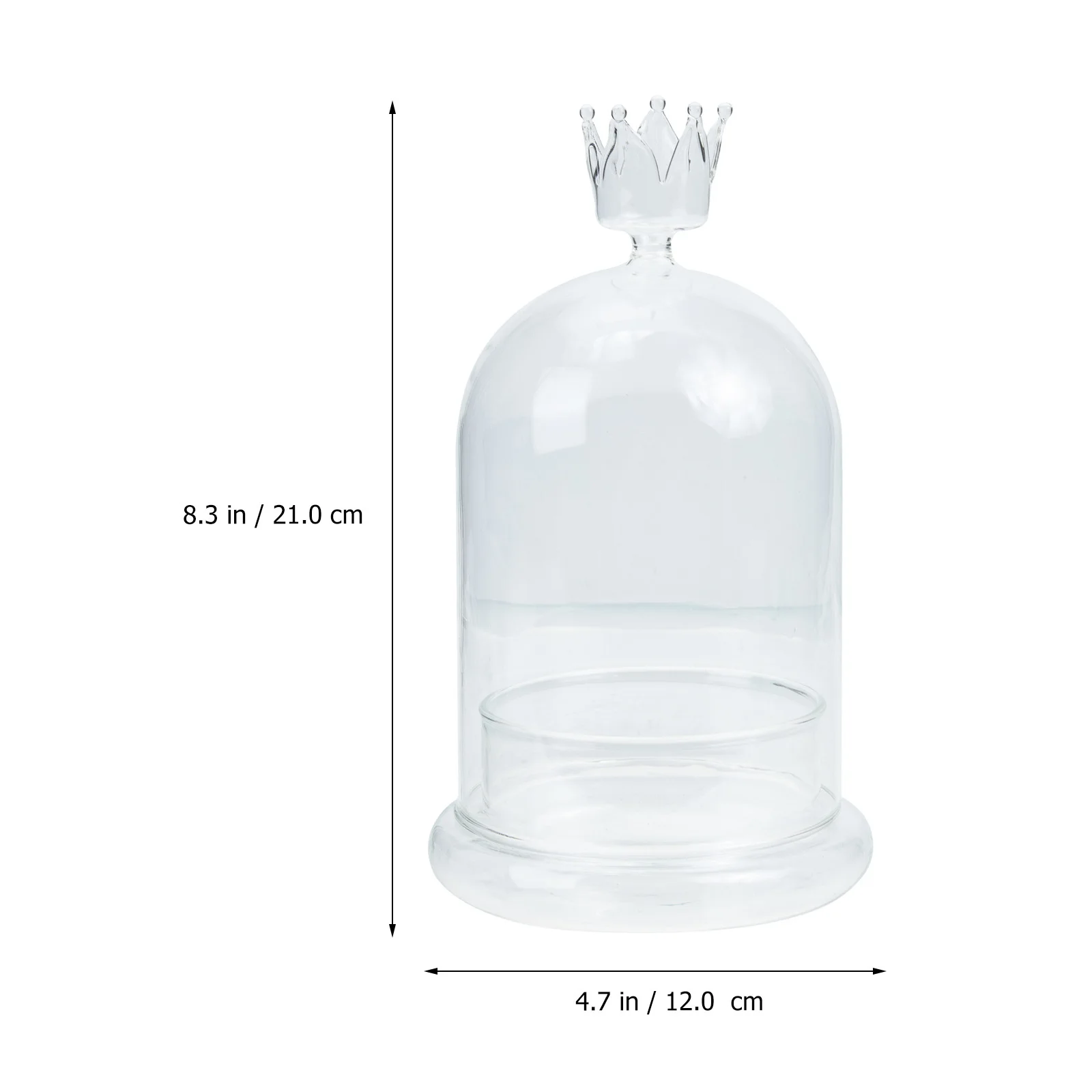 Preserved Flower Glass Cover Dome Base Elegant Daily Decor Transparent Glass Dome Adornment Desktop Protector Indoor Outdoor
Preserved Flower Glass Cover Dome Base Elegant Daily Decor Transparent Glass Dome Adornment Desktop Protector Indoor Outdoor