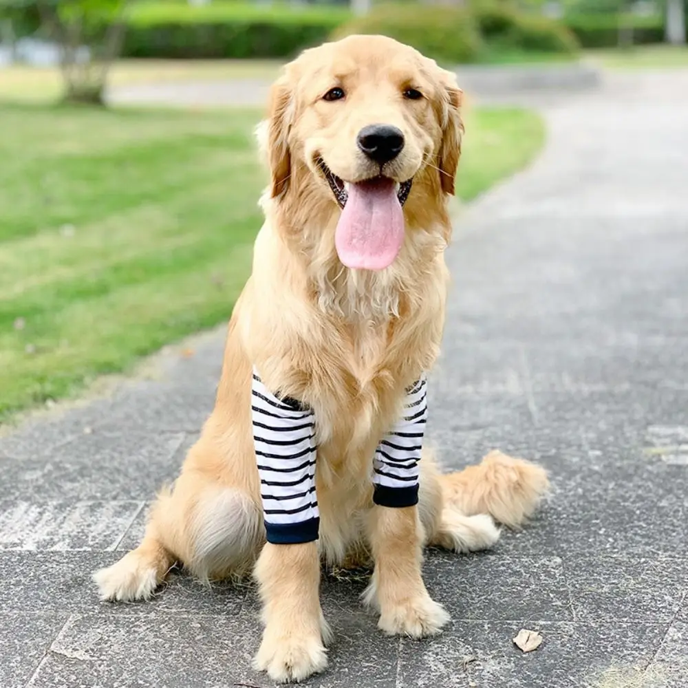 Anti-Lick Wound Puppy Elbow Protector Shoulder Support Breathable Dog Elbow Brace Protector Pads Soft Dog Knee Pads
Anti-Lick Wound Puppy Elbow Protector Shoulder Support Breathable Dog Elbow Brace Protector Pads Soft Dog Knee Pads