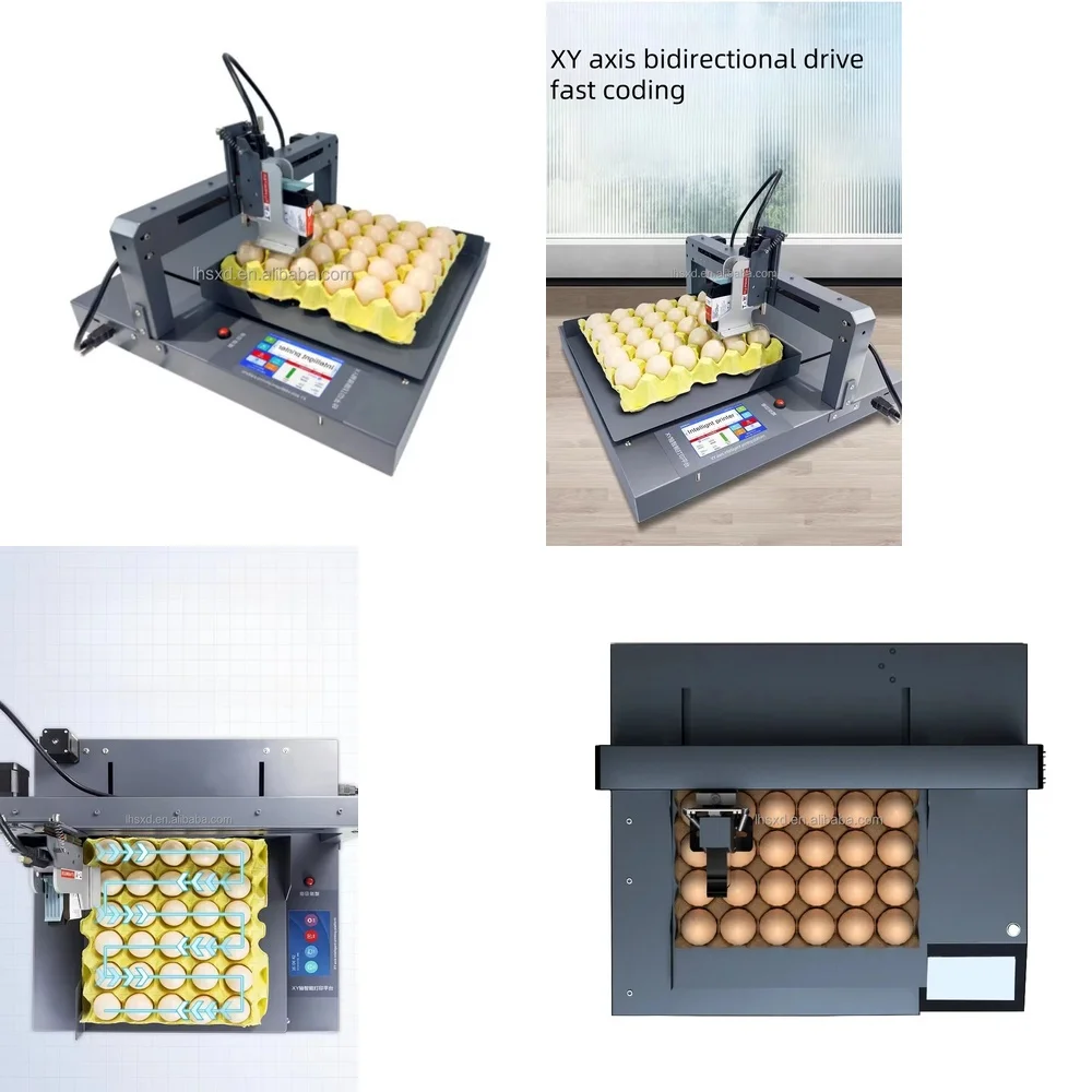 Fully Automatic Coding Printing Machine for Production Date and Batch Number Printing Machine for Commercial
Fully Automatic Coding Printing Machine for Production Date and Batch Number Printing Machine for Commercial