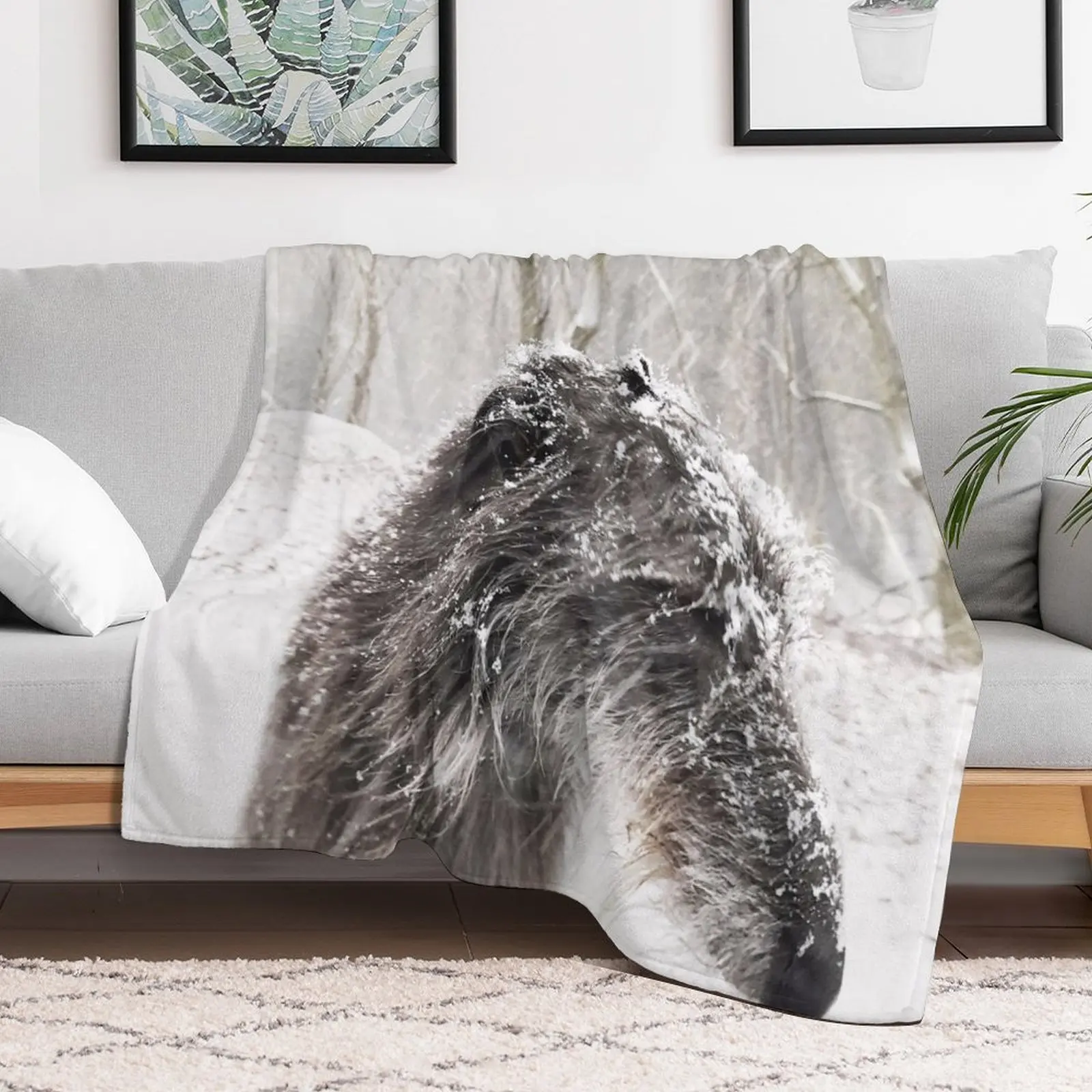 Isla In the bleak winter Throw Blanket heavy to sleep Picnic sofa bed Vintage Blankets
Isla In the bleak winter Throw Blanket heavy to sleep Picnic sofa bed Vintage Blankets