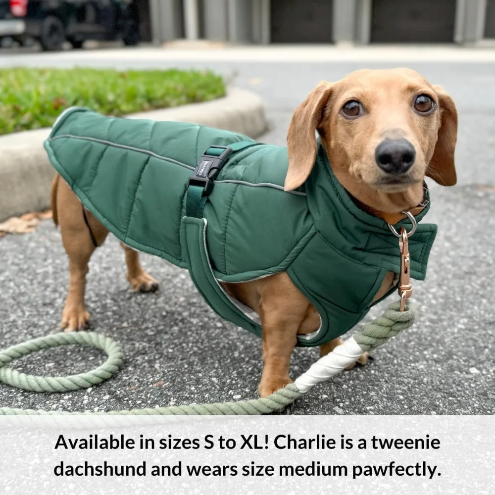 Winter Dog Coat, Premium Warm and Insulated Dogs Jacket with Windproof and Waterproof Protection, Dog Coat
Winter Dog Coat, Premium Warm and Insulated Dogs Jacket with Windproof and Waterproof Protection, Dog Coat