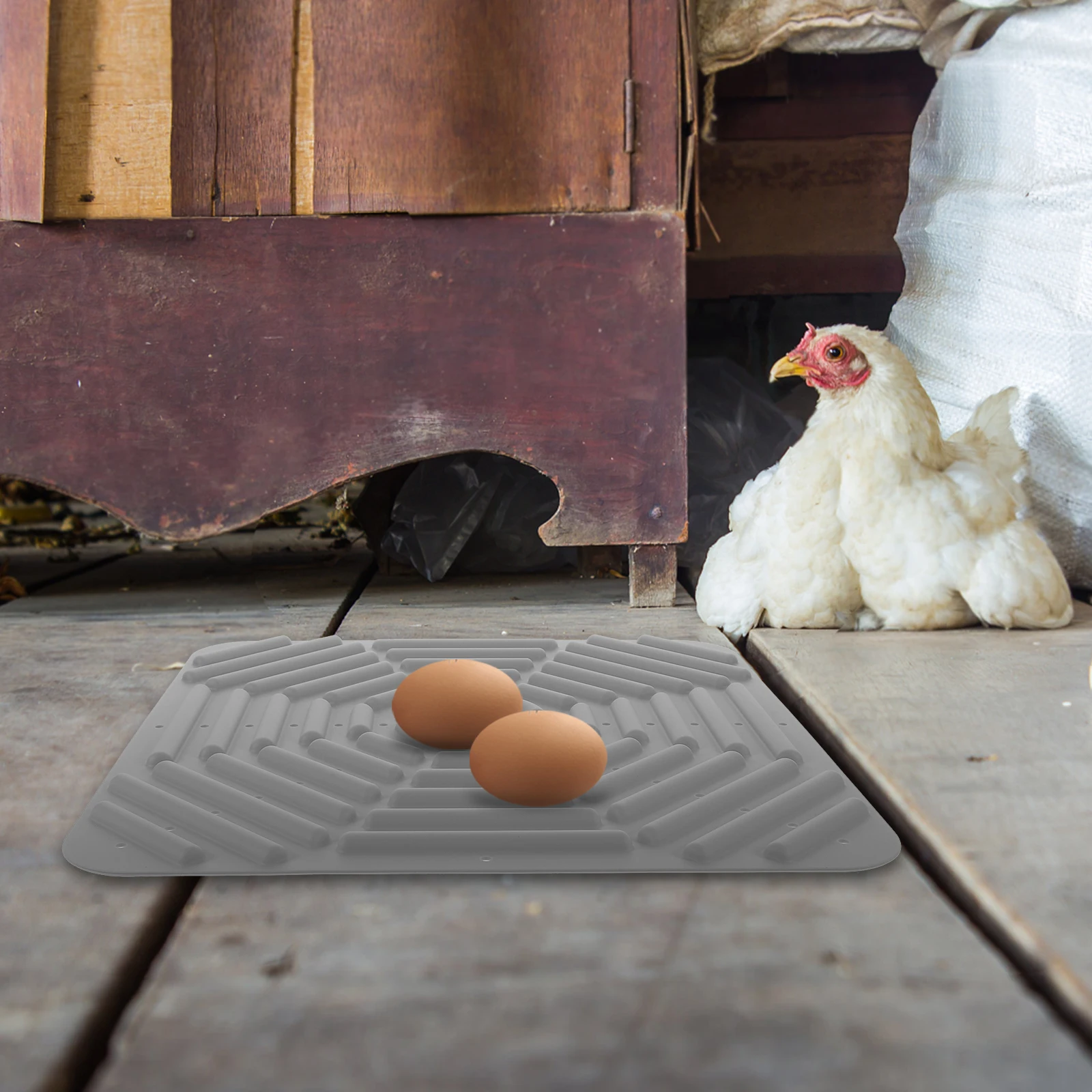 Chicken Coop Protection Mat Nesting Pads for Laying Silicone Accessories Washable
Chicken Coop Protection Mat Nesting Pads for Laying Silicone Accessories Washable