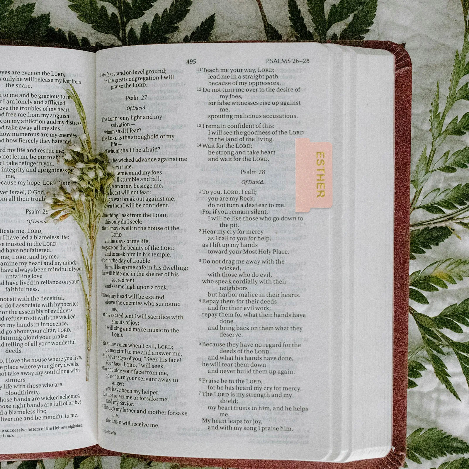 1Set Decorative Bible Tabs Practical Book Dividers for Study Bible Good Texture Comfortable Hand Feeling
1Set Decorative Bible Tabs Practical Book Dividers for Study Bible Good Texture Comfortable Hand Feeling