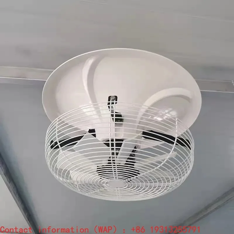 20 Inch Vertical Greenhouse Fan Greenhouse Recirculation Fan Greenhouse Circulator Fan
20 Inch Vertical Greenhouse Fan Greenhouse Recirculation Fan Greenhouse Circulator Fan
