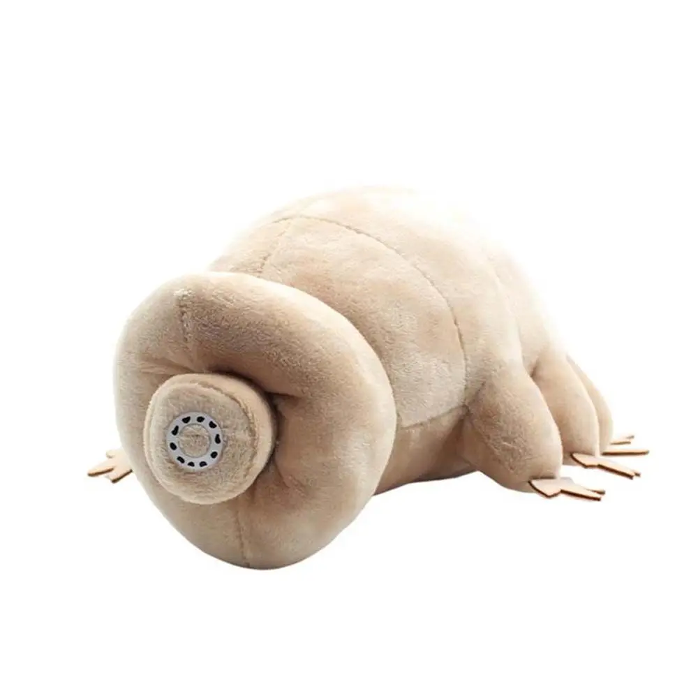 For Children Dolls Pillow Toys Soft Kids Gifts Home Decoration Animal Doll Stuffed Toys Tardigrade Plush Toy Plush Doll
For Children Dolls Pillow Toys Soft Kids Gifts Home Decoration Animal Doll Stuffed Toys Tardigrade Plush Toy Plush Doll
