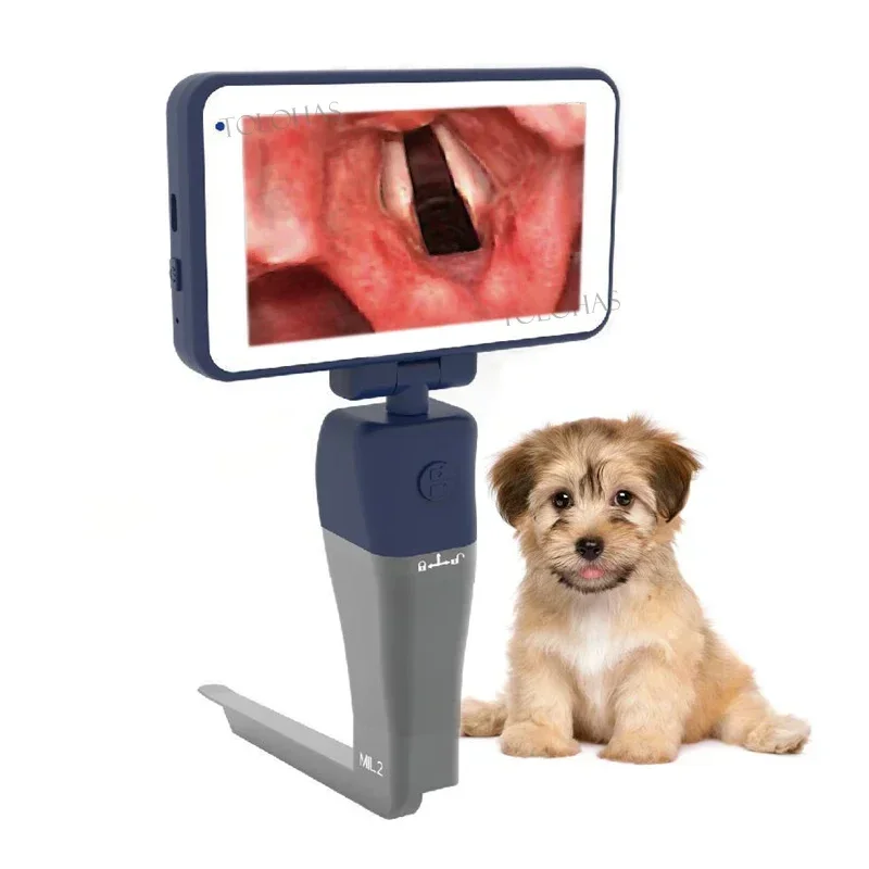 LHWCR31V новый стиль многоразовые стерилизованные лезвия ларингоскопия больница для домашних животных медицинский ветеринар видеоларингоскоп
LHWCR31V новый стиль многоразовые стерилизованные лезвия ларингоскопия больница для домашних животных медицинский ветеринар видеоларингоскоп