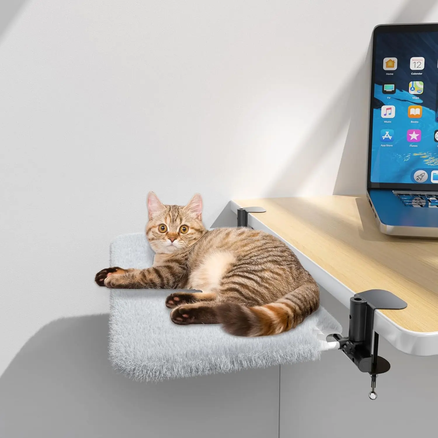 Письменная кровать для кошек с зажимами, вместимость 49 фунтов, двусторонняя моющаяся, подходит для современной мебели
Письменная кровать для кошек с зажимами, вместимость 49 фунтов, двусторонняя моющаяся, подходит для современной мебели