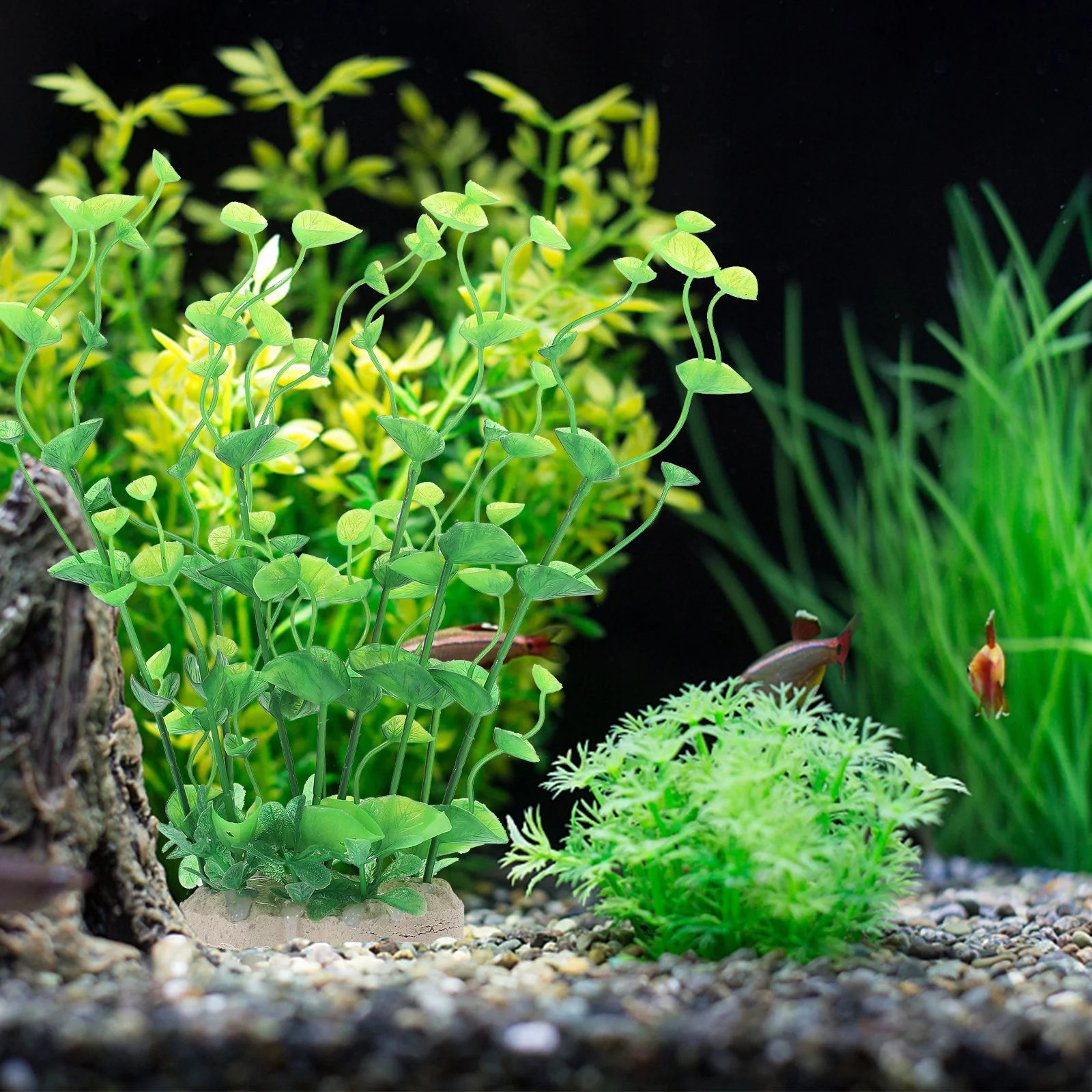 1Pcs Lifelike Water Plant Aquarium Decor Resin Craft for Fish Tank Landscaping Artificial Aquatic Plant Aquarium Decor 
1Pcs Lifelike Water Plant Aquarium Decor Resin Craft for Fish Tank Landscaping Artificial Aquatic Plant Aquarium Decor