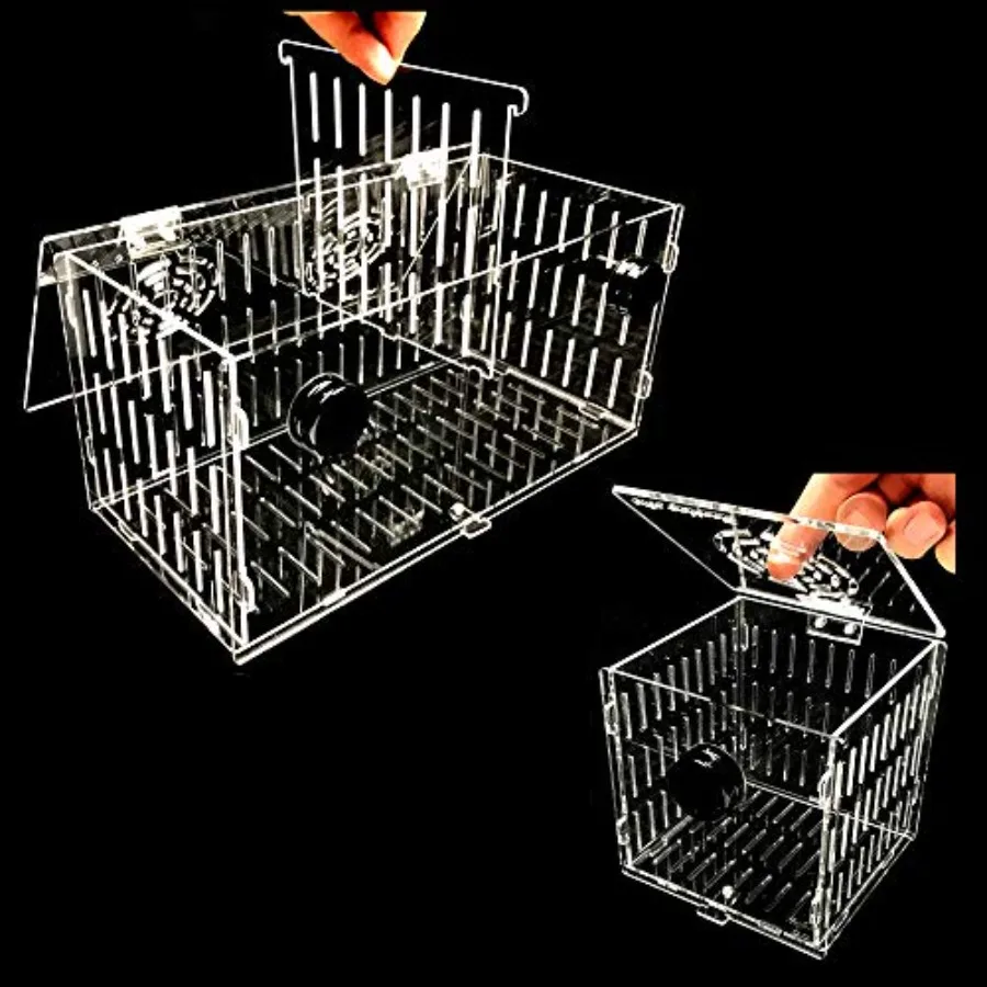 Magnetic Acclimation Box Large/ 16x6x8
Magnetic Acclimation Box Large/ 16x6x8