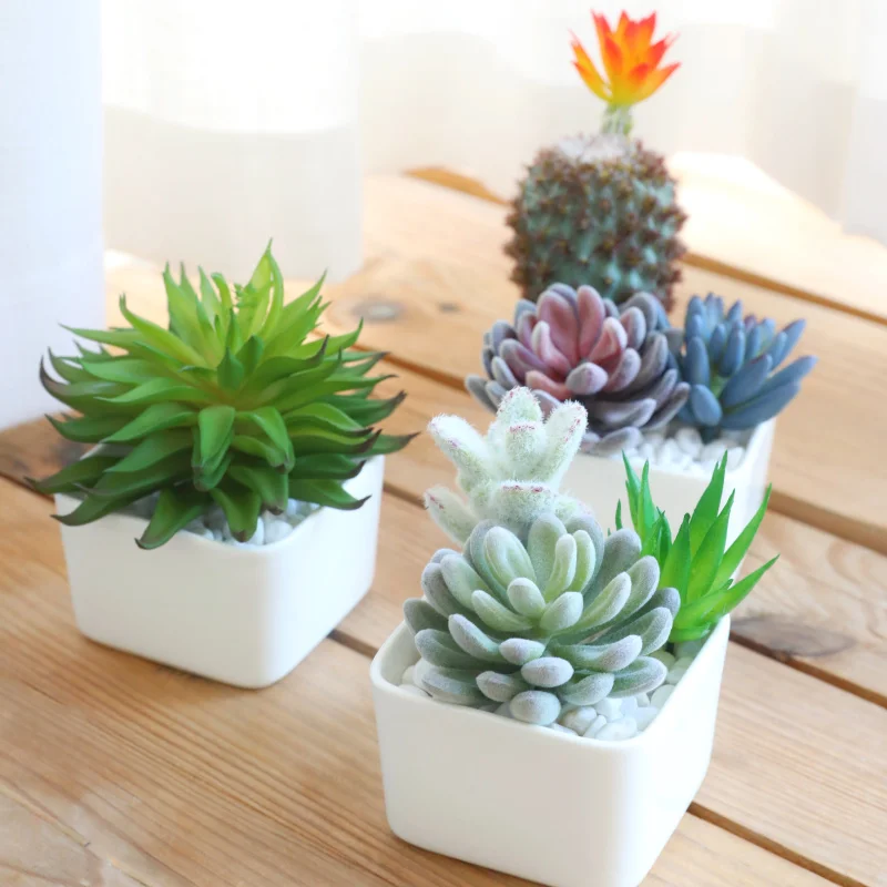 Artificial Succulent Plant Potted Cacti, Artificial Flowers and Green Plant Decorative Ornaments Artificial Flowers Decorative
Artificial Succulent Plant Potted Cacti, Artificial Flowers and Green Plant Decorative Ornaments Artificial Flowers Decorative