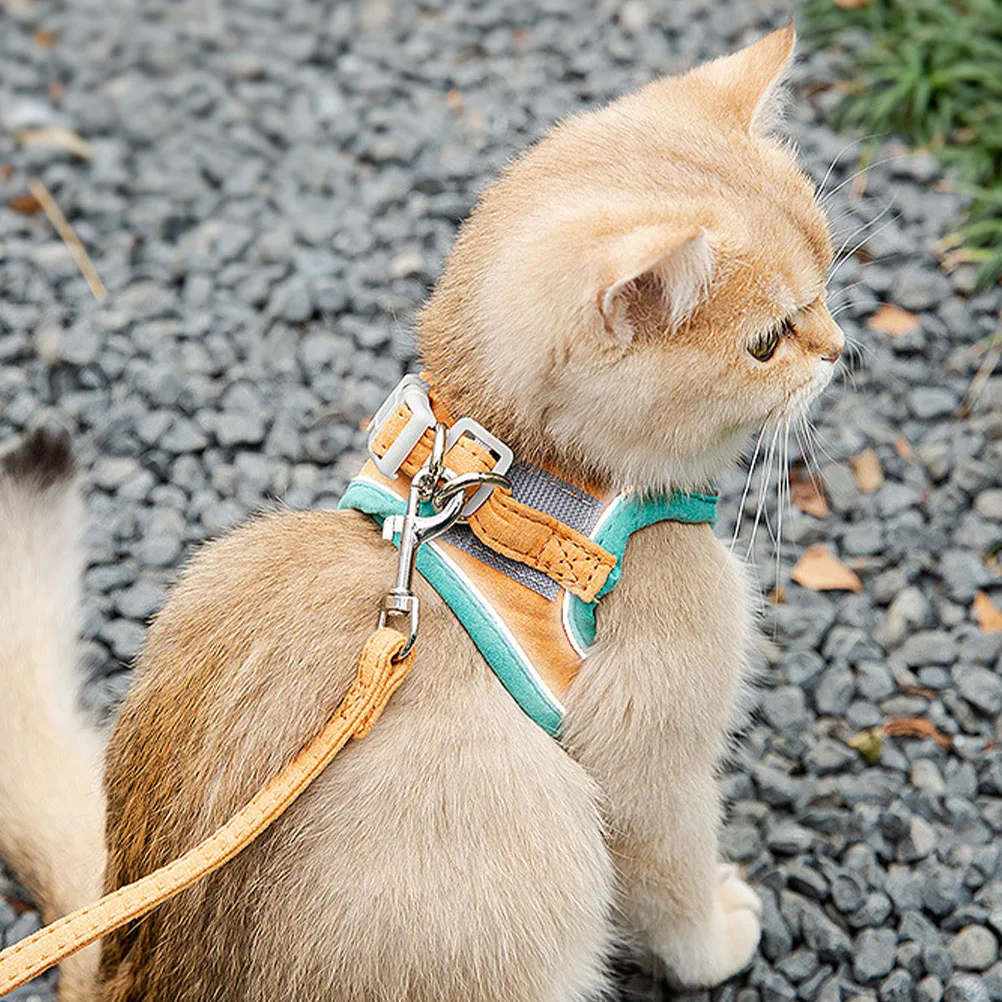 Cat Leash Harness Cute Pet Accessories Walking Rope Suede Vest ange Size Practical Cat Pulling Rope Storage
Cat Leash Harness Cute Pet Accessories Walking Rope Suede Vest ange Size Practical Cat Pulling Rope Storage