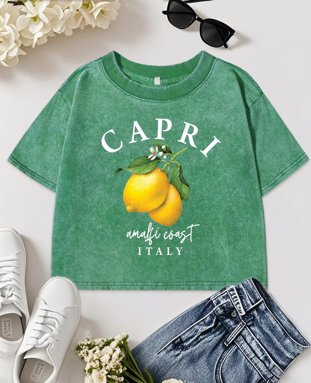 Capri Amalfi Coast Italy Lemon Fruitprint Washed T-Shirt Женская хлопковая тонкая футболка с коротким рукавом и круглым вырезом Y2K Одежда Летняя повседневная футболка
Capri Amalfi Coast Italy Lemon Fruitprint Washed T-Shirt Женская хлопковая тонкая футболка с коротким рукавом и круглым вырезом Y2K Одежда Летняя повседневная футболка