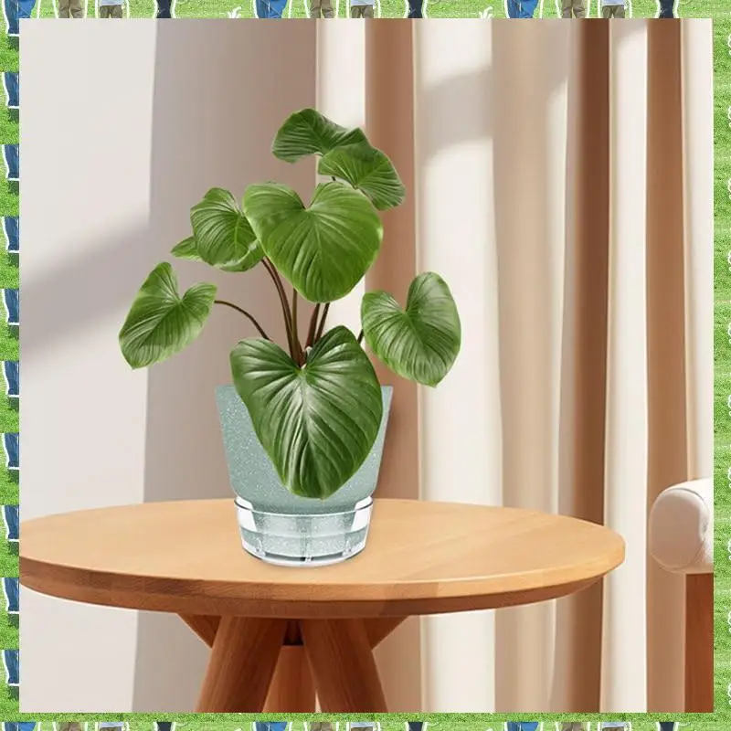 FTS 5 Pcs African Violet Pot Easy Self Watering Plant Pot For Tropical Plants For House Plants,Herbs,Indoor Outdoor Grey
FTS 5 Pcs African Violet Pot Easy Self Watering Plant Pot For Tropical Plants For House Plants,Herbs,Indoor Outdoor Grey
