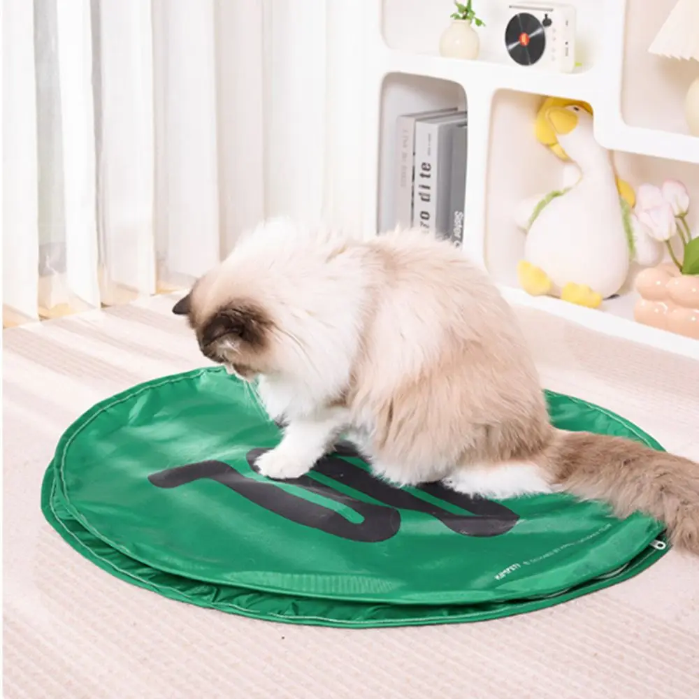 Self-entertainment Cat Catch Toy Foldable Easy To Clean Cat Ball Automatic Toy Bite-resistant No Odor Cat Hunting Cover Home
Self-entertainment Cat Catch Toy Foldable Easy To Clean Cat Ball Automatic Toy Bite-resistant No Odor Cat Hunting Cover Home