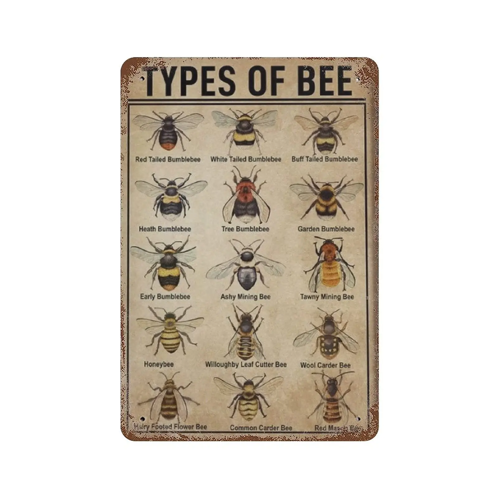 Dreacoss Metal tin Sign,Retro Style, Novelty Poster,Iron Painting,Types of Bee Tin Sign, Knowledge Tin Sign, Bee Lover, Honey Be
Dreacoss Metal tin Sign,Retro Style, Novelty Poster,Iron Painting,Types of Bee Tin Sign, Knowledge Tin Sign, Bee Lover, Honey Be