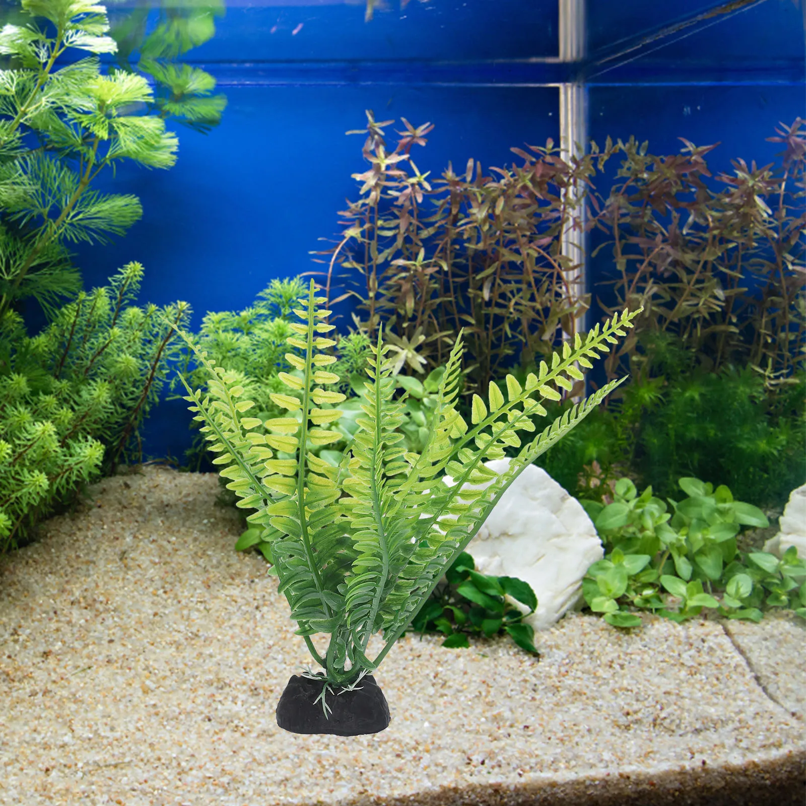 12 Pcs Aquarium Decor Faux Green Plants Lifelike Plastic naments for Fish Tank L scaping Terrarium Accessories
12 Pcs Aquarium Decor Faux Green Plants Lifelike Plastic naments for Fish Tank L scaping Terrarium Accessories